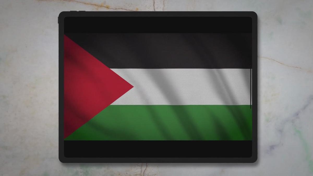 The Palestinian Liberation Organization