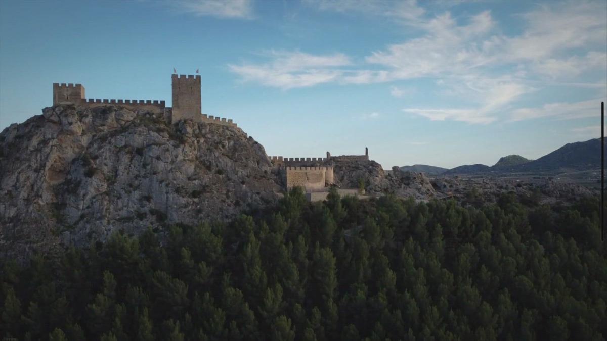 Charles VIII History Learning Site